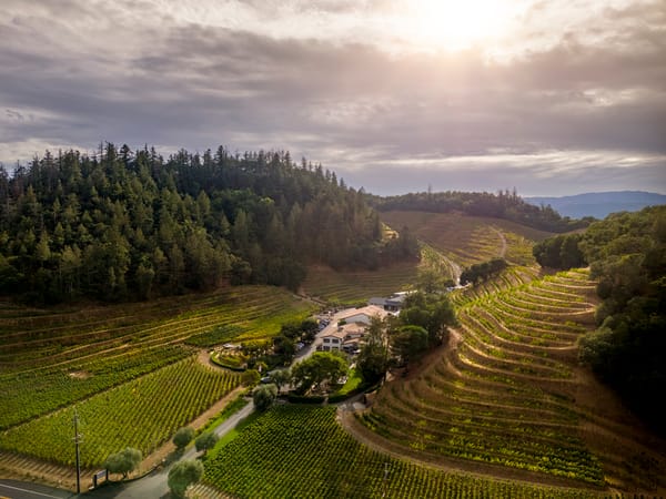 Sipping: Grown. Made. Poured. Pine Ridge Vineyards